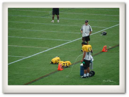 troy Troy Polamalu at the Watering Hole