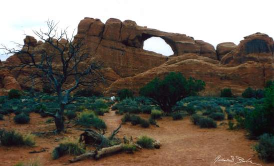 The Last Day of Delicate Arches