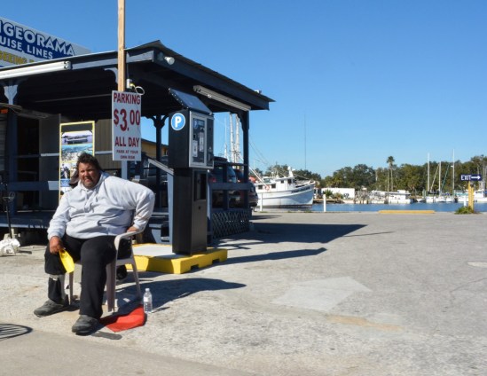 Parking with a Sneer