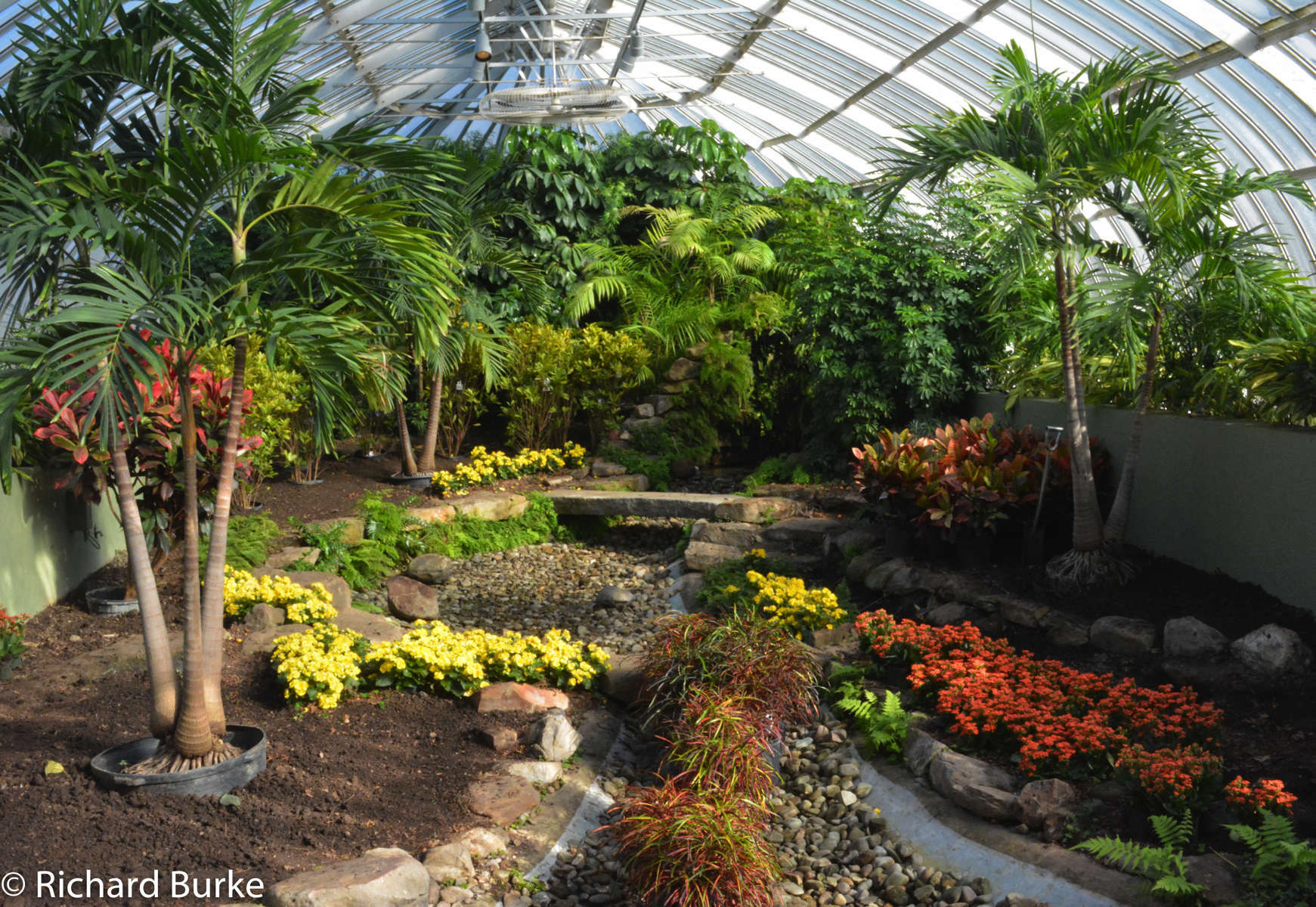 The Phipps Conservatory