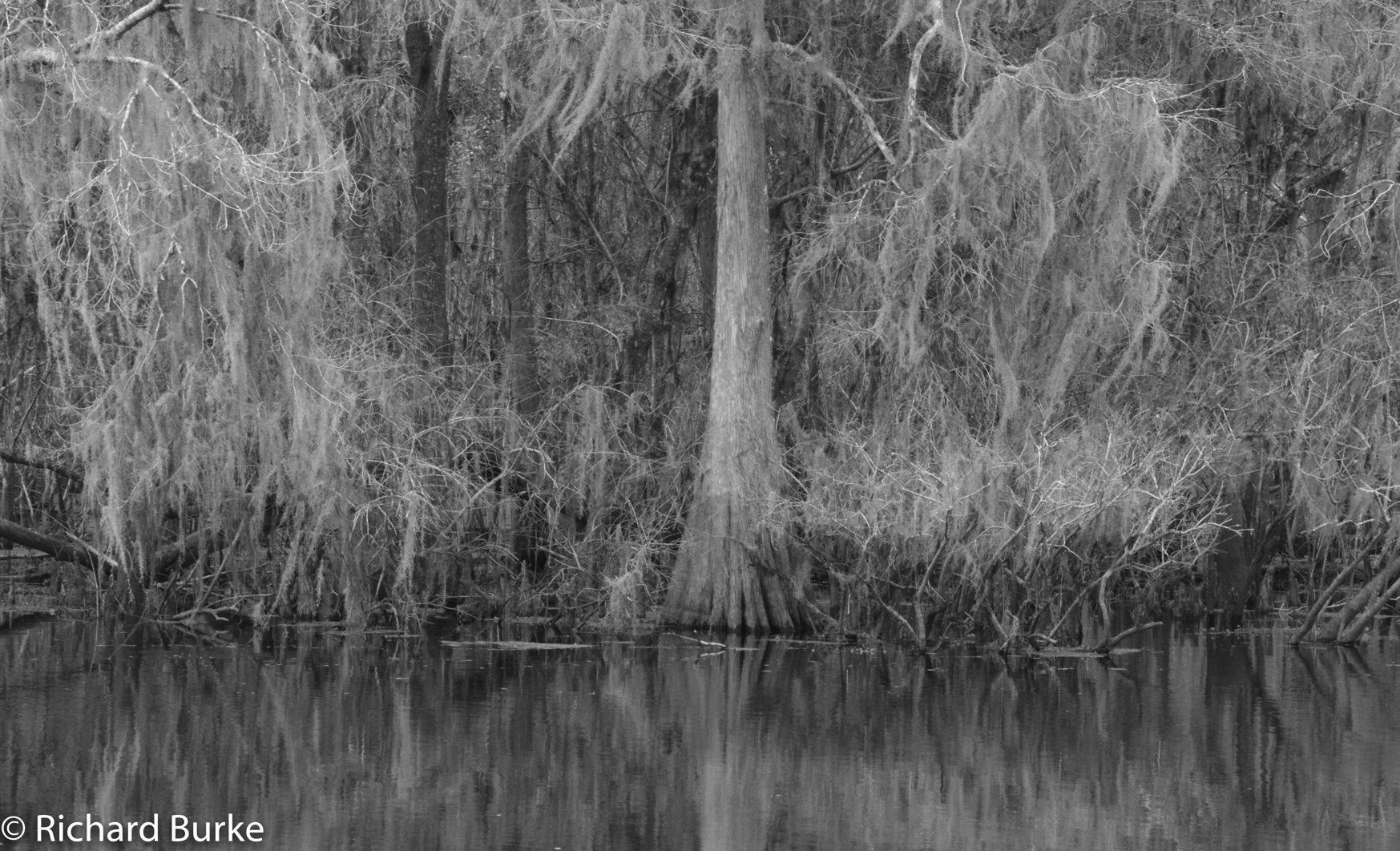 Standard Editing Monochrome