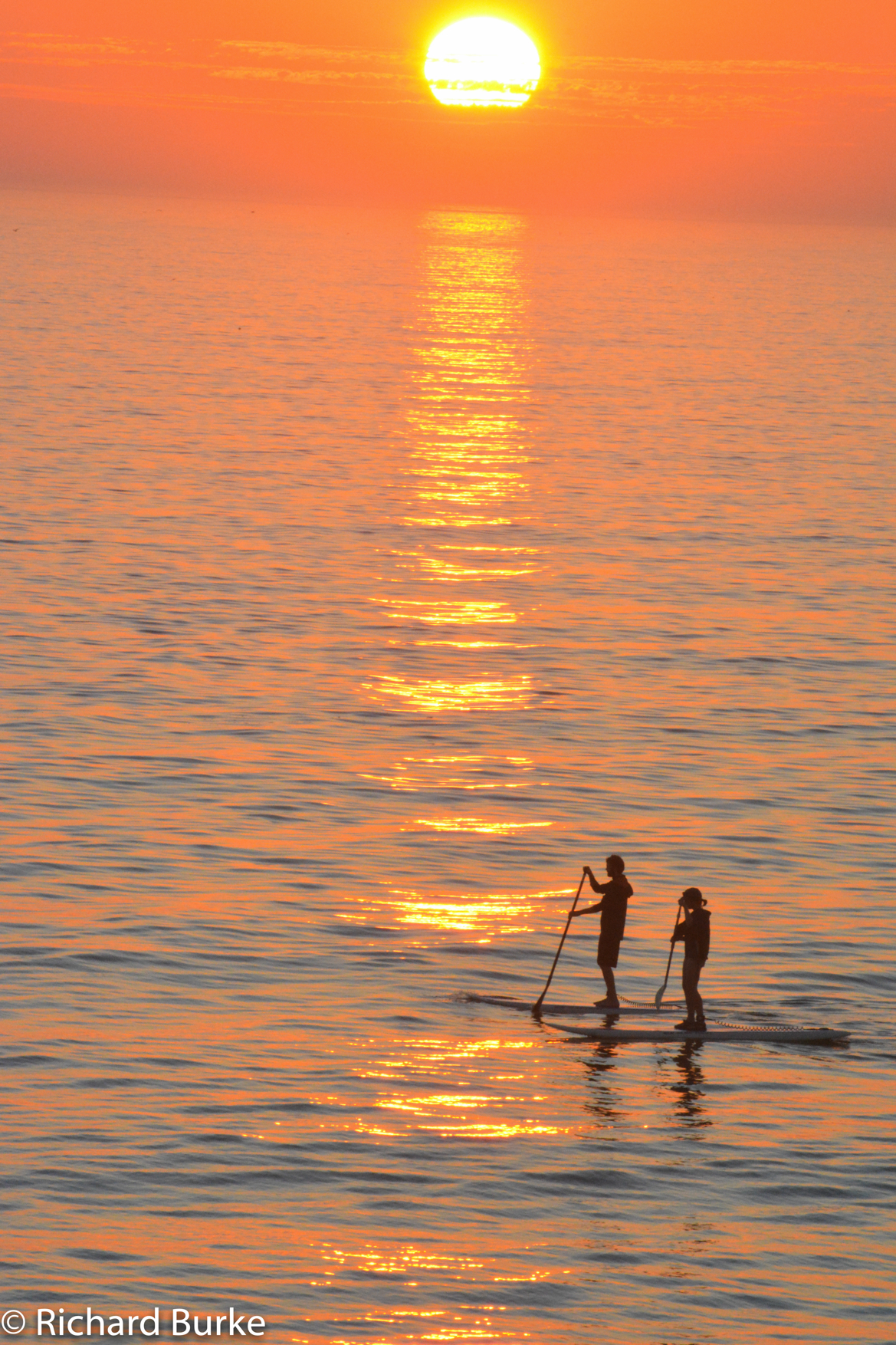 Long Board at Sunset Beach