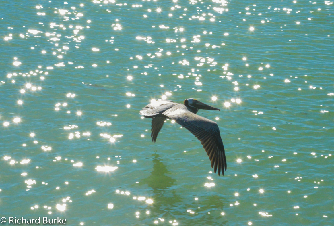 Skimming