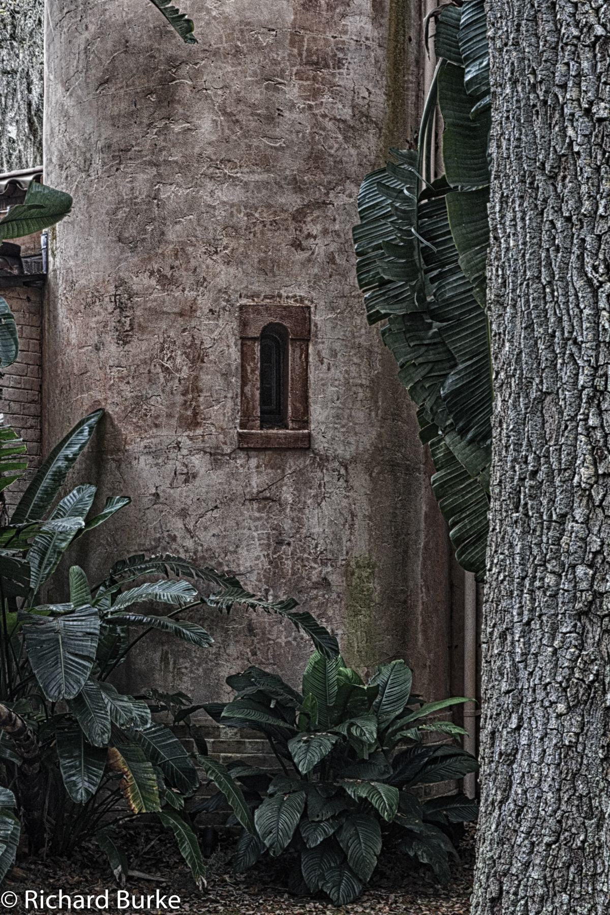 A Little Window