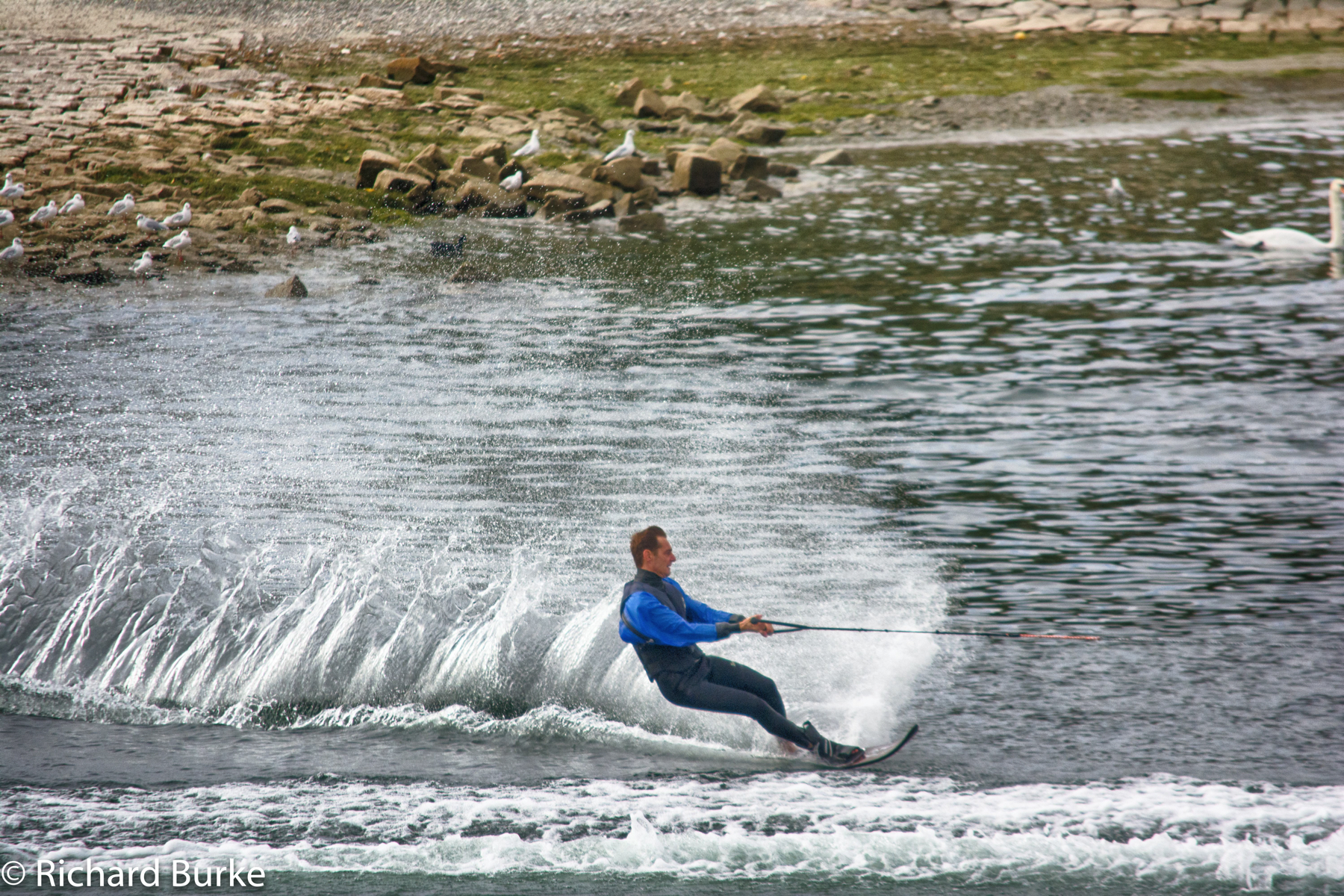 Skiing the Rhine