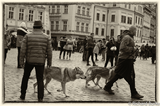 People of Prague #3