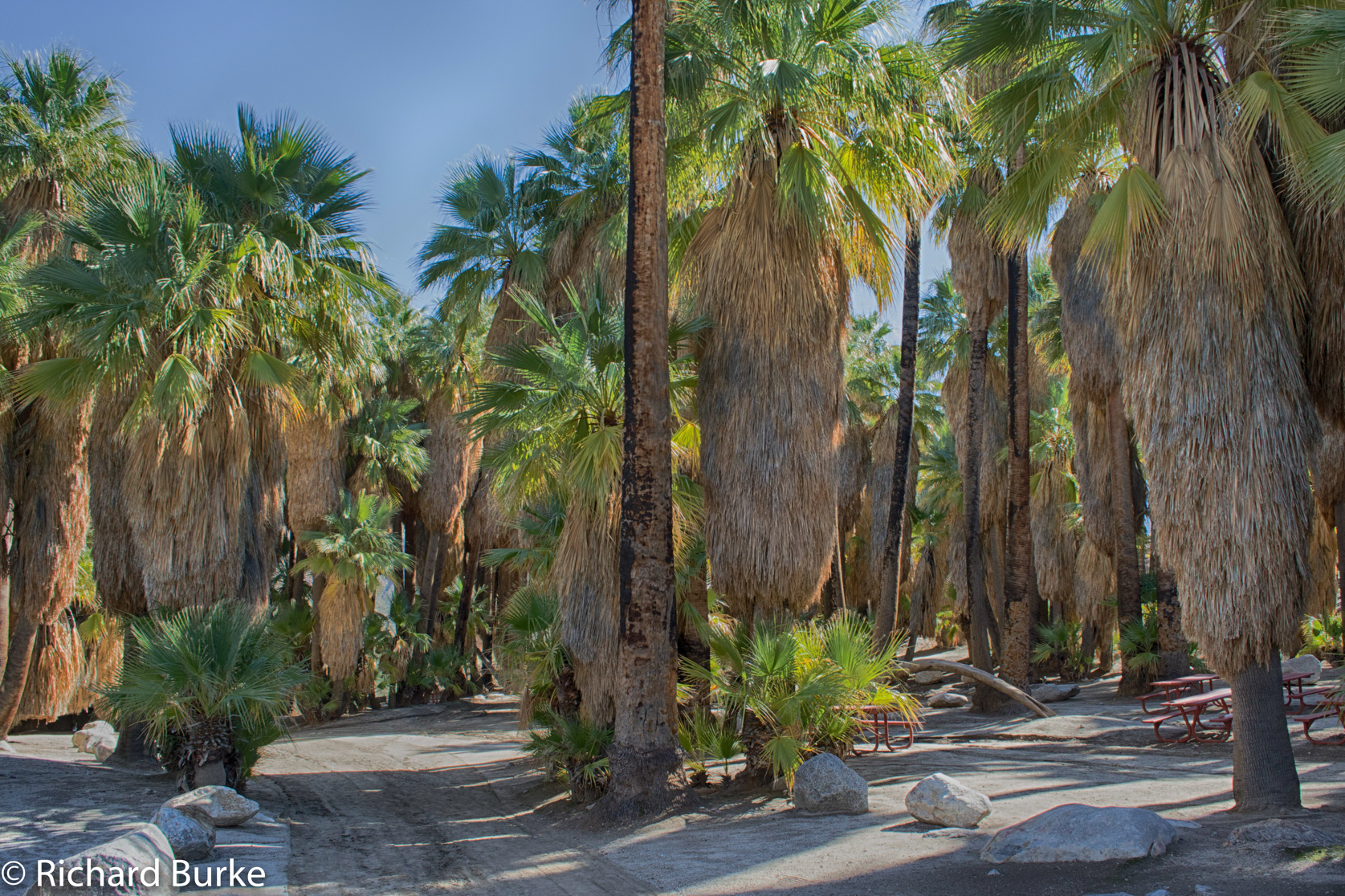 Indian Canyons California