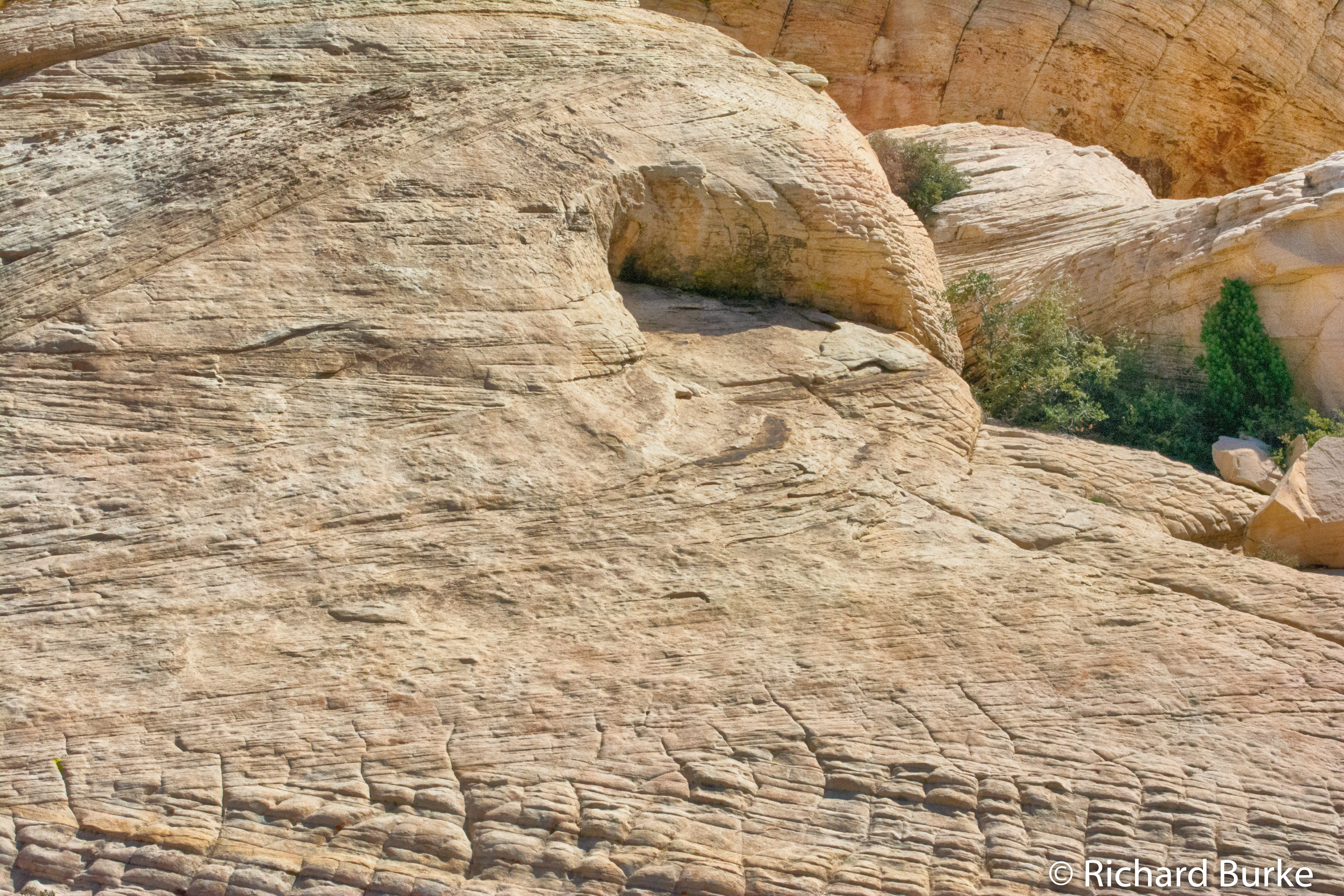 Mountain Textures