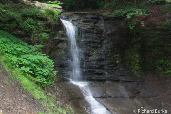 Fall Run Park
