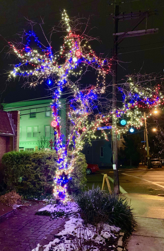 Point Breeze Christmas Tree